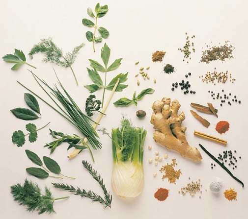 Boost your Gut Health with medicinal herbs