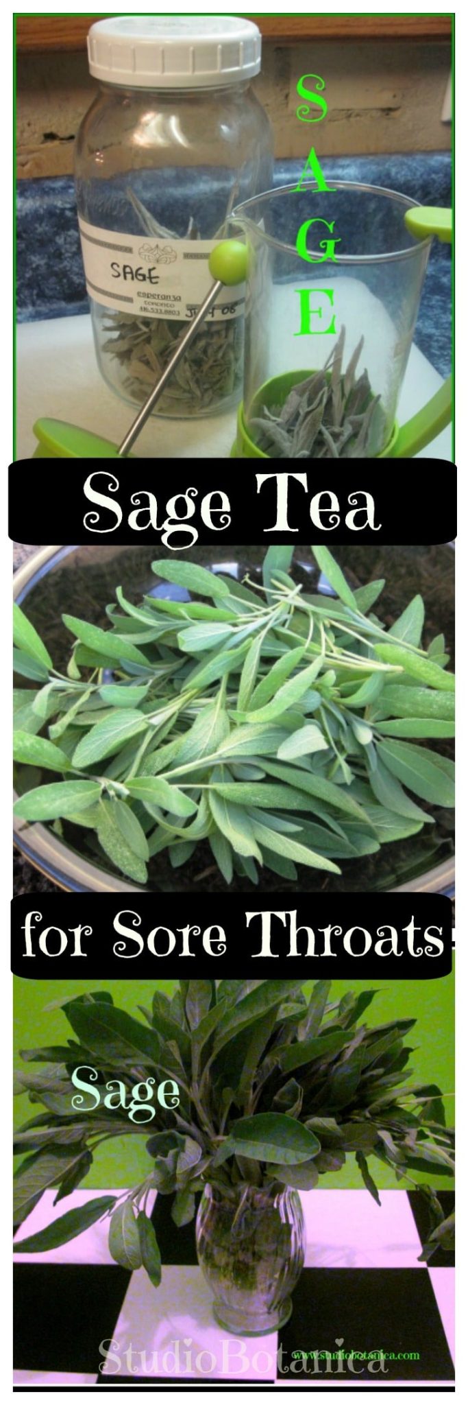 Sage Tea for sore throats