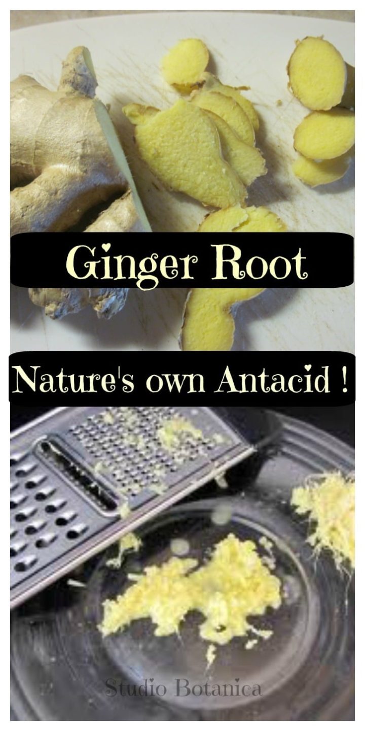 Ginger tea for Acid Reflux Feel better Studio Botanica
