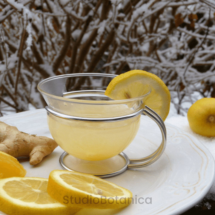 ginger tea for acid reflux