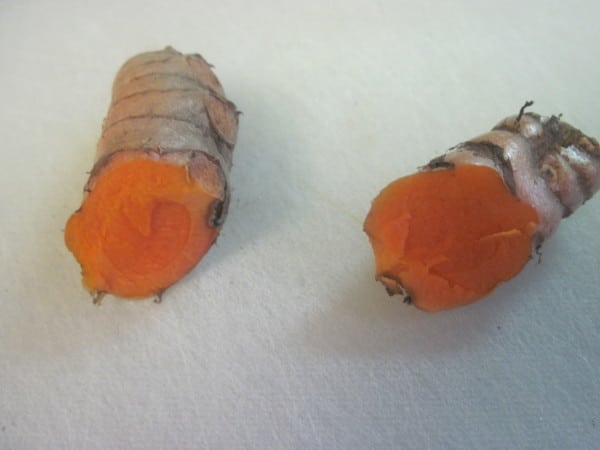 Sliced Fresh organic Turmeric