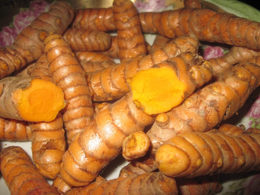 FRESH organic Turmeric Root