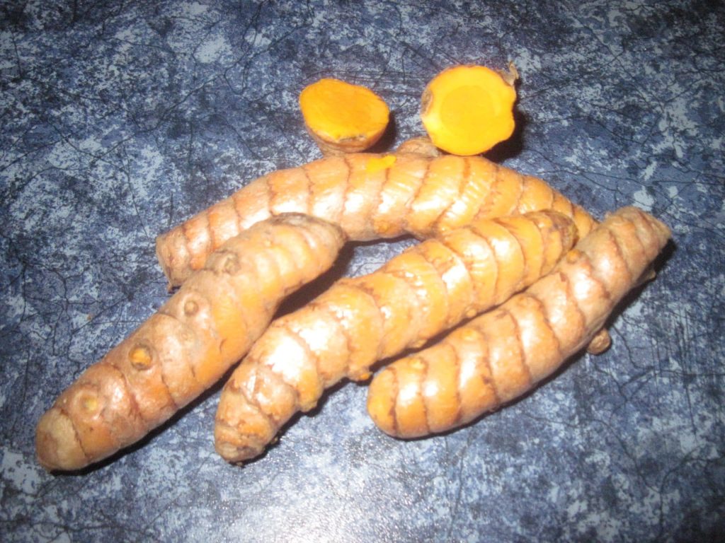 Fresh Turmeric roots