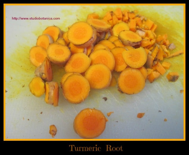 Turmeric root chopped SB