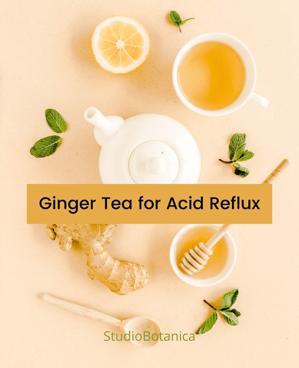 Ginger tea for Acid Reflux Feel better Studio Botanica