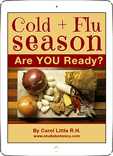 Cold and Flu Season ebook
