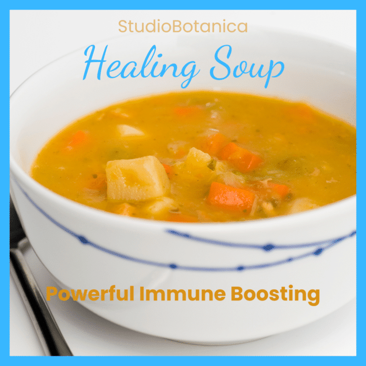 Healing Soup