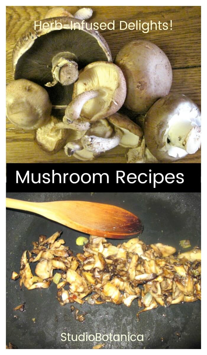 Mushroom Recipes