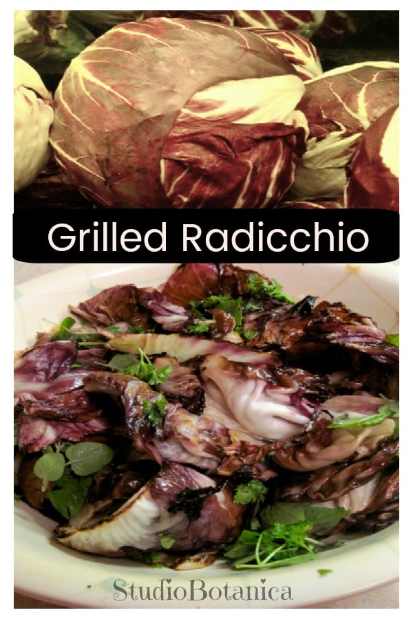Grilled Radicchio