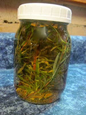 Rosemary Vinegar