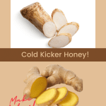 Cold Remedies at Home -Cold Kicker Honey