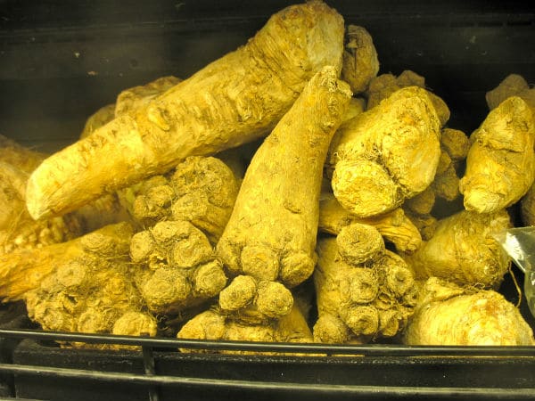 Fresh HorseRadish Root