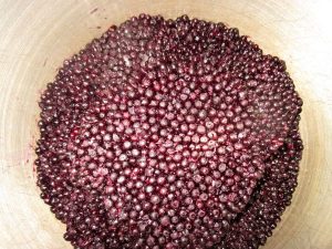 Elderberry medicine