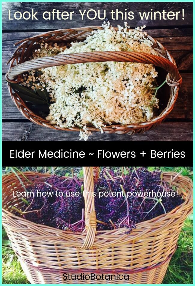 Elder Medicine