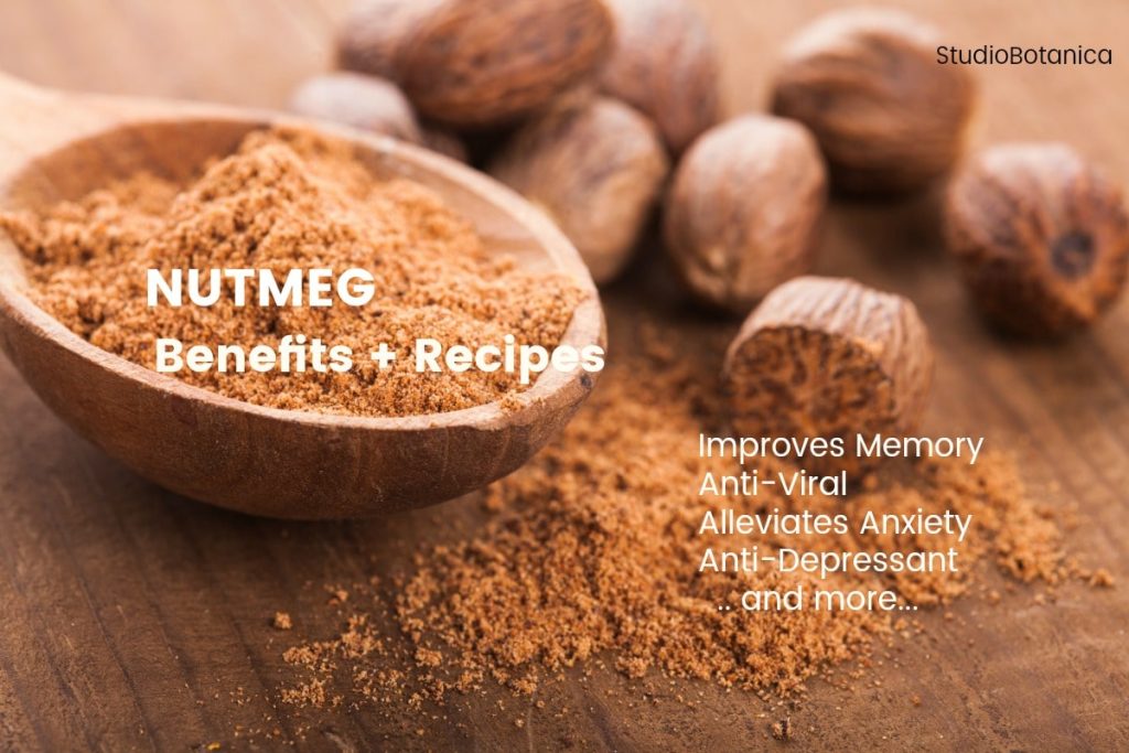 Nuts about Nutmeg? Surprising benefits + recipes Studio Botanica