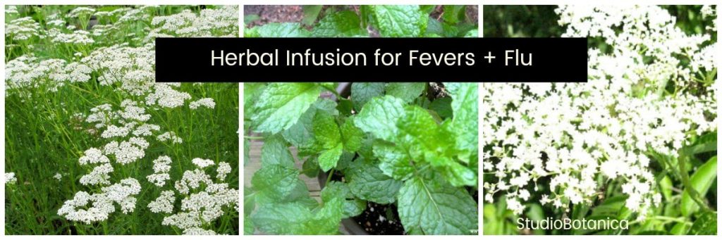 Herbal support coronavirus fever flu symptoms