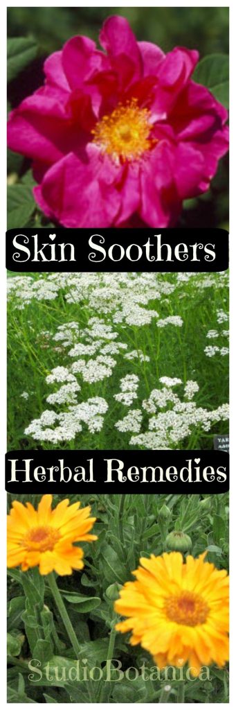 Skin Soothing Herbal Remedies