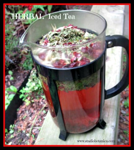 Ruby Red Herbal Iced Tea