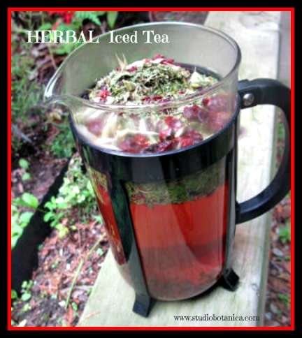 Nettle Tea  Nourishing Herbal & Food as Medicine Recipes