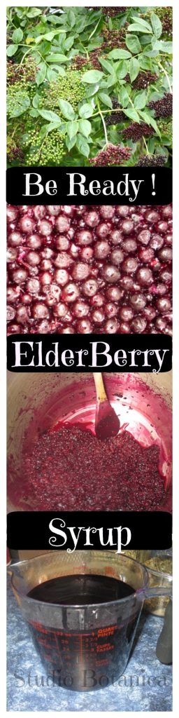 Elderberry Syrup