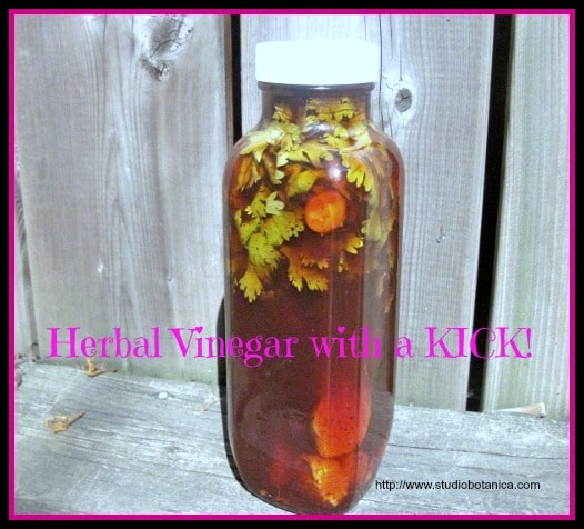 Herbal Vinegar with A kick