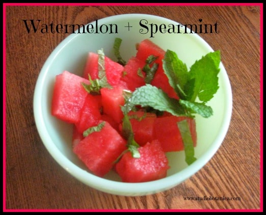 WatermelonSpearmintSB