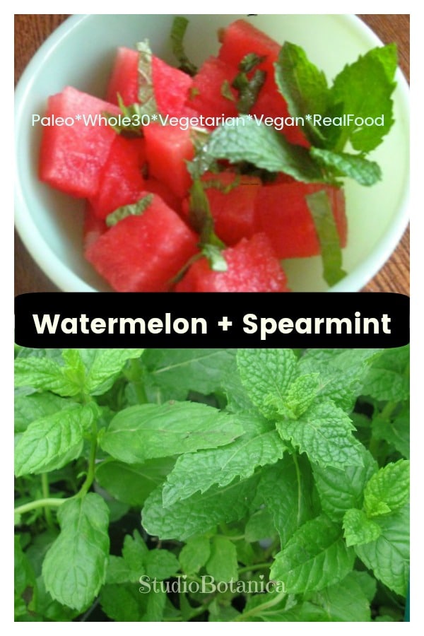 Watermelon + Spearmint