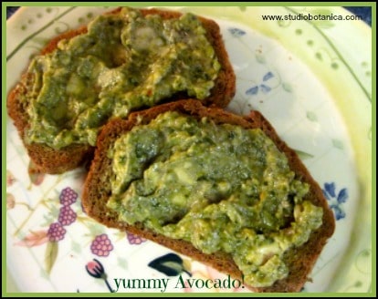 AvocadoGFbread