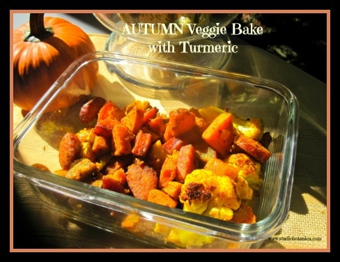 Autumn veggie bake with Turmeric