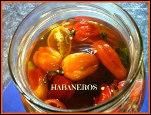 HabanerosFeatureSB