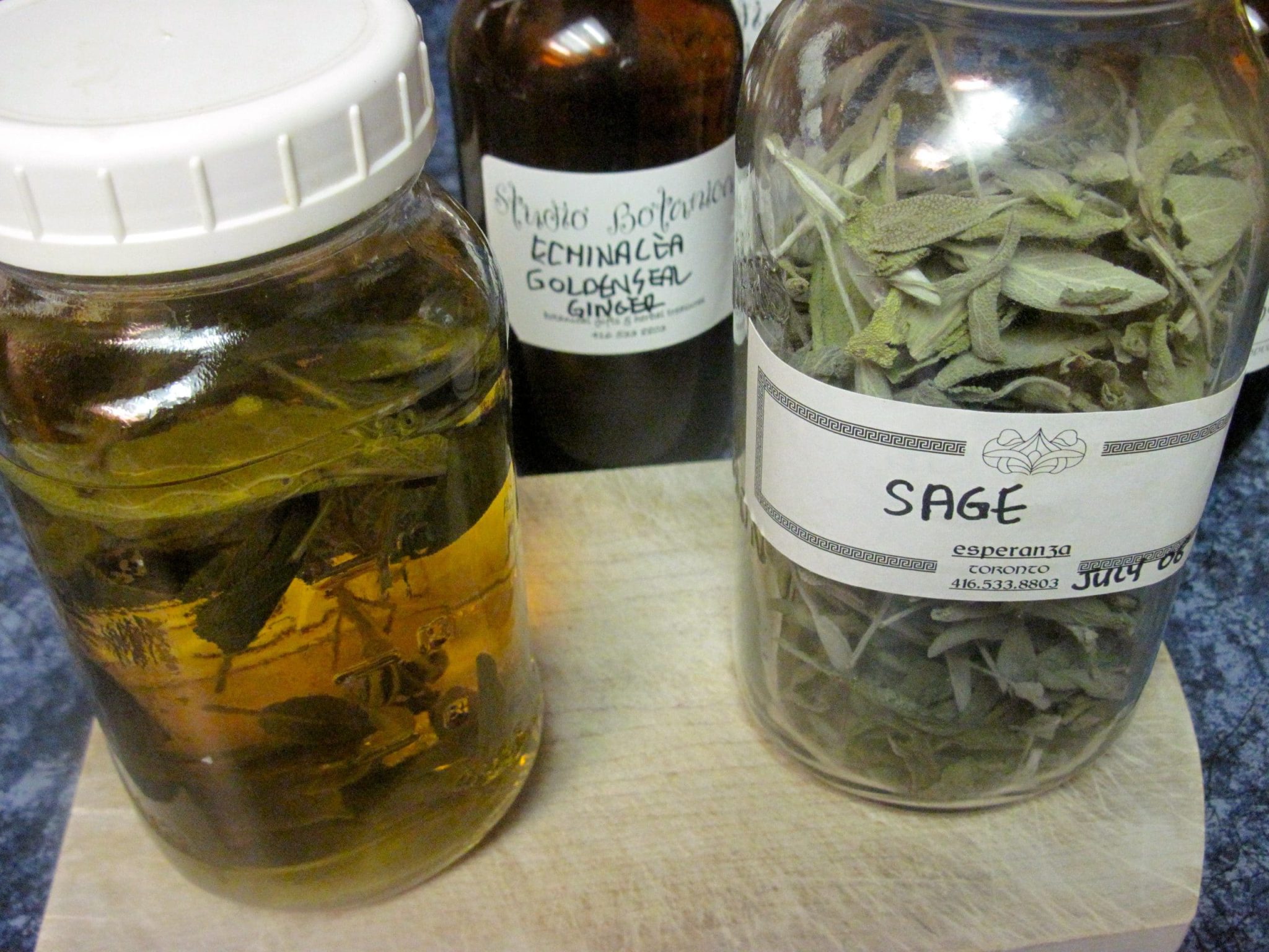 PowerPacked Teas for Winter Studio Botanica