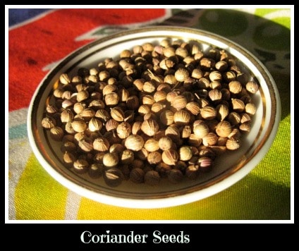 Coriander Seeds Wise Water tea