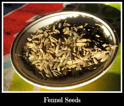 Fennel Seeds