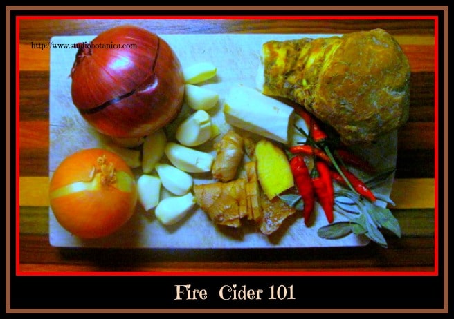 Fire Cider + Fire Cider Recipes
