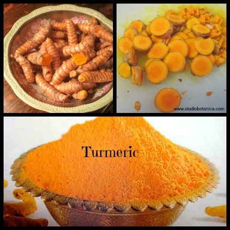 TurmericAntiInflammWinter