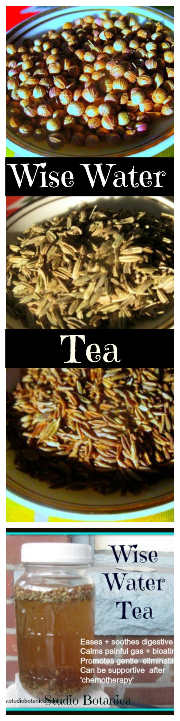 Wise Water tea ~ You will love this! - Studio Botanica