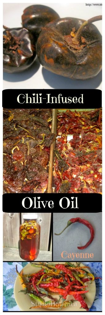 Chili-Infused Olive oil
