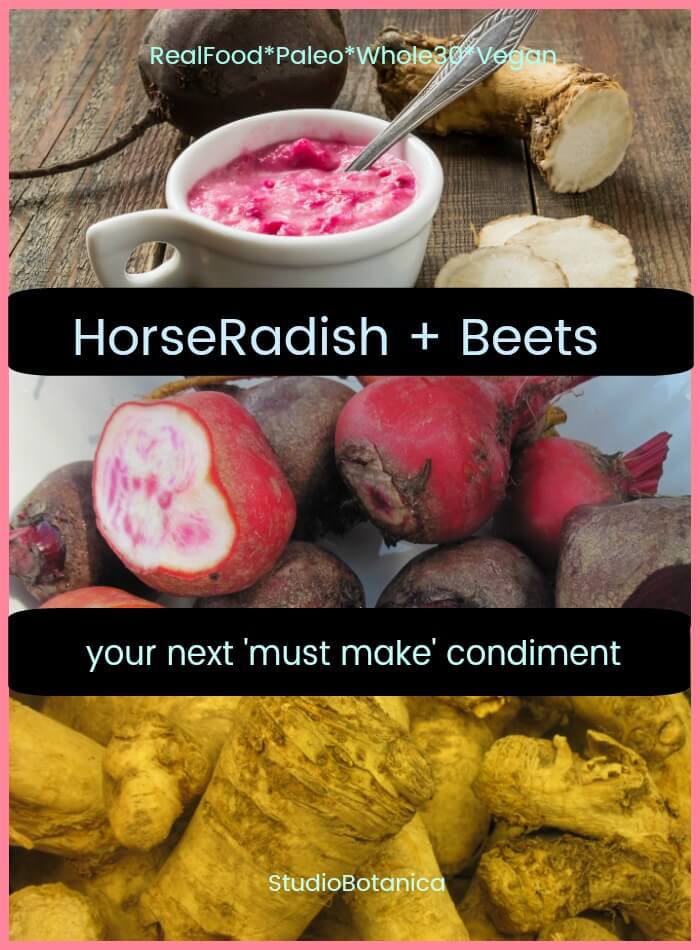 Horseradish Condiment Recipe