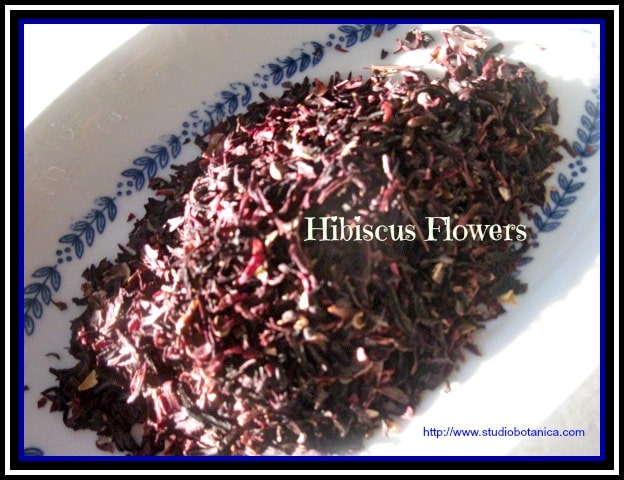 Hibiscus flowers Herbs can help your mood