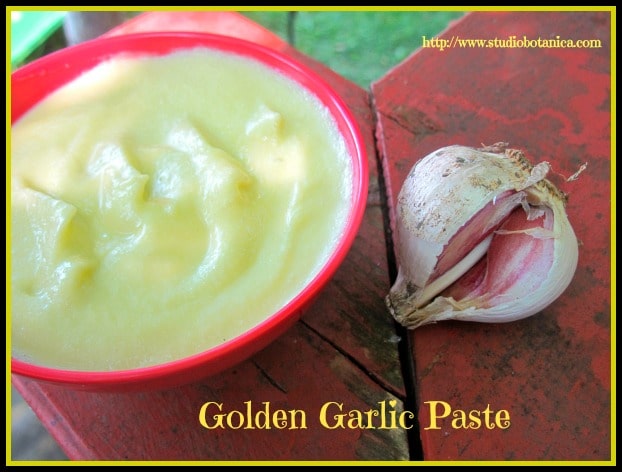 Golden Garlic Paste