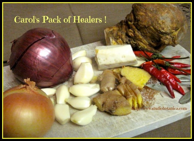 These 5 herbs aka Carols pack of healers are all decongestants and help with chest congestion