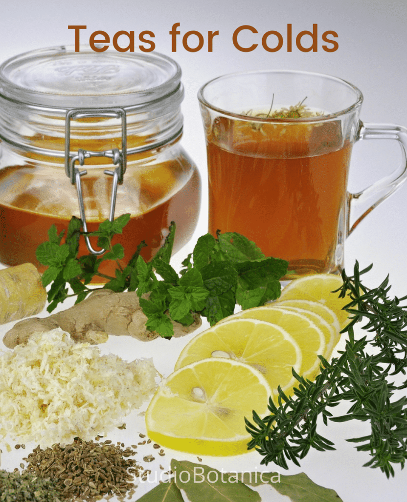 Herbal Teas for Cold Relief