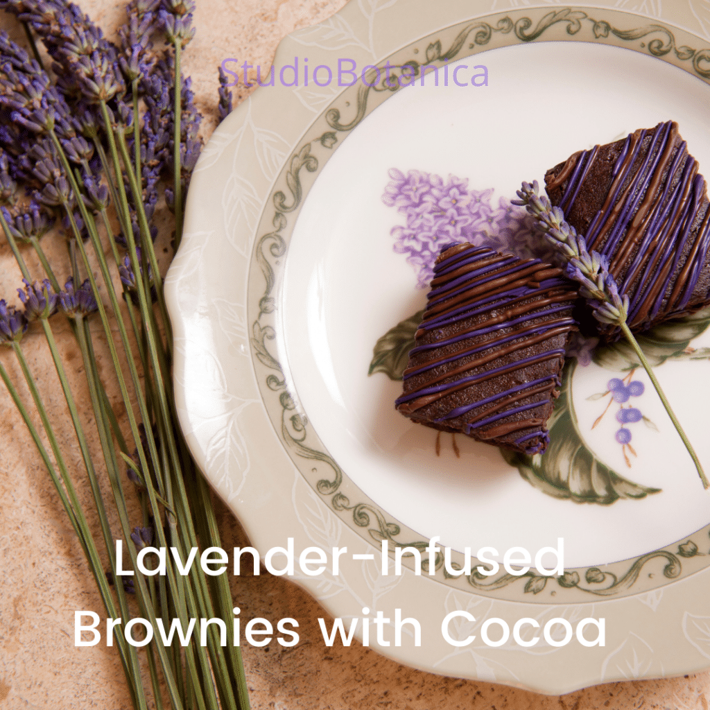 decadent lavender brownies + lavender-infused brownies with cocoa