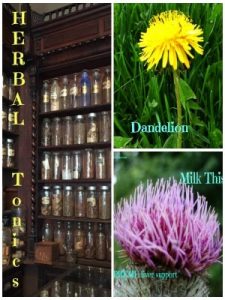 Time for your tune up with herbal Tonics! - Studio Botanica