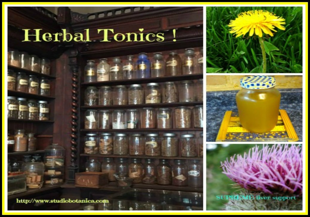 Time for your tune up with herbal Tonics! Studio Botanica