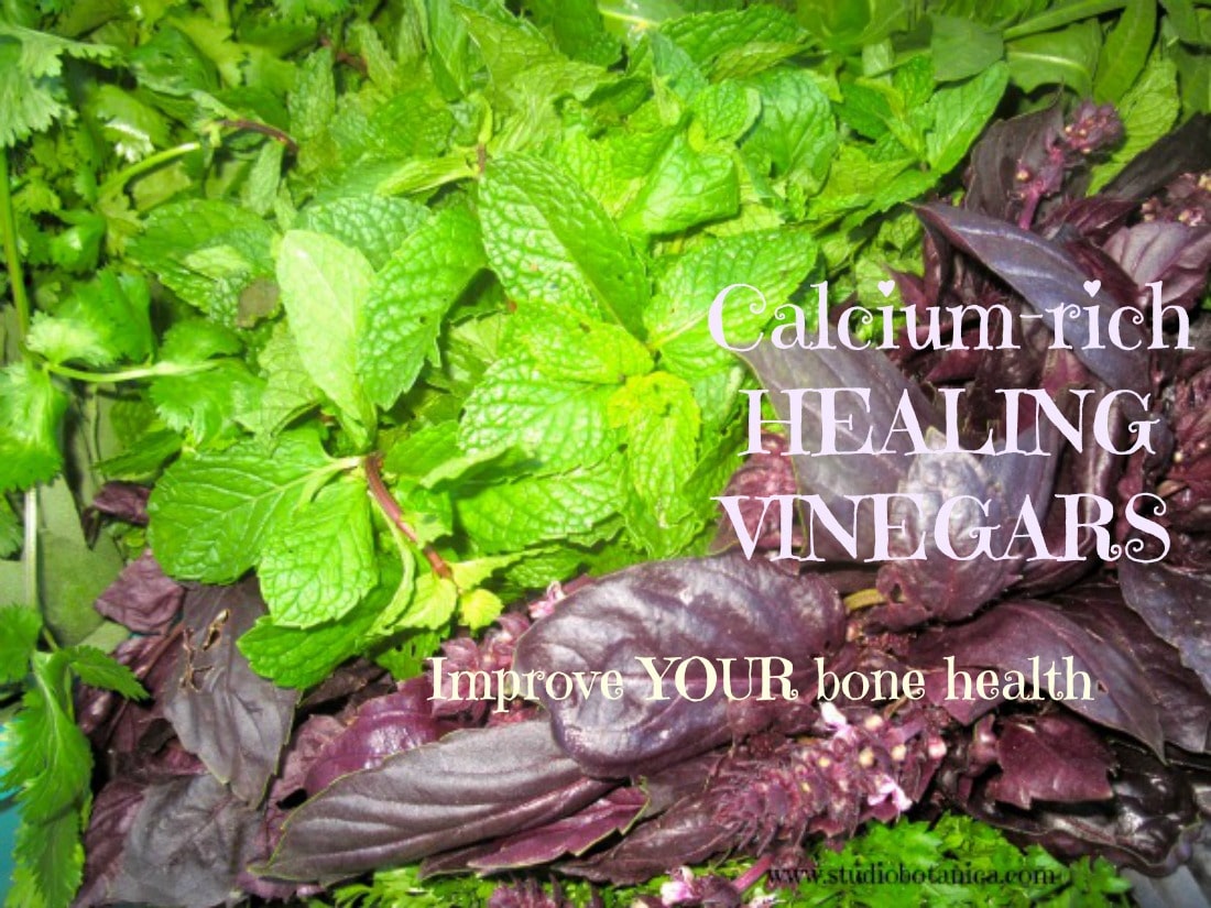 Healthy bones with Herbal vinegars Studio Botanica