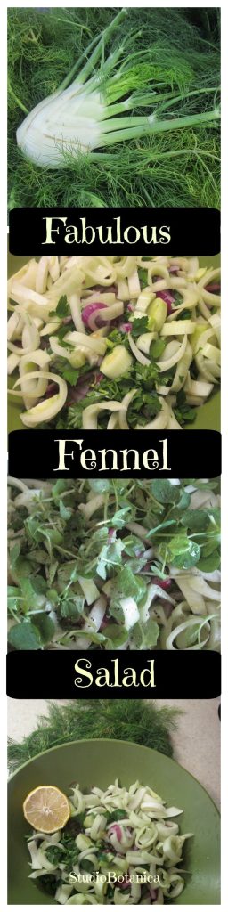 Fabulous Fennel Salad