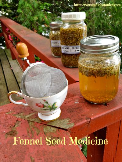 Fennel Seed Medicine