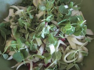 Refreshing Fennel Salad