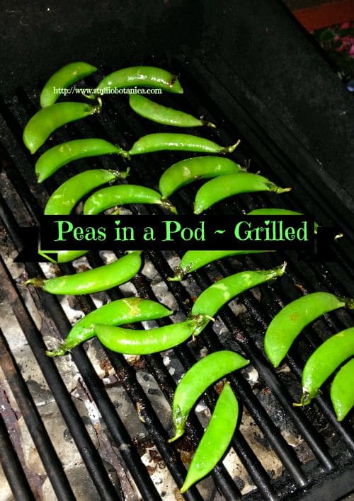 Grilled Peas in a pod recipe on the BBQ~